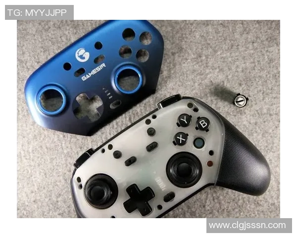 RulerADC：从电竞新星到全球瞩目的顶级ADC选手成长之路