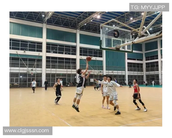 以篮球为纽带探索团队合作与青春奋斗的激情旅程