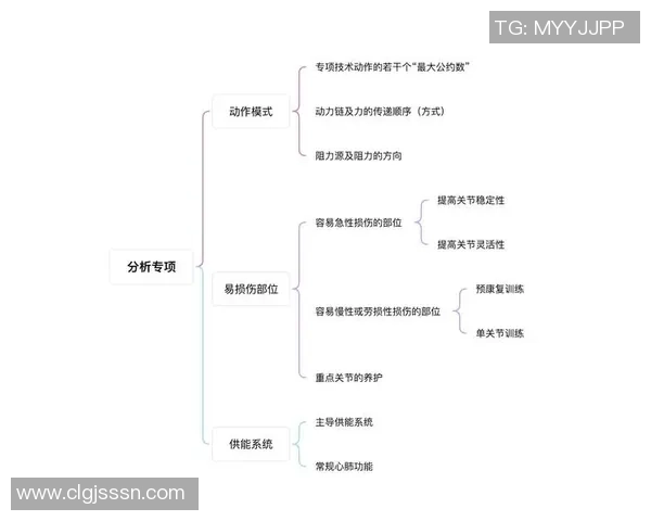 以网球运动为核心探讨竞技精神与身体素质全面提升的内在联系