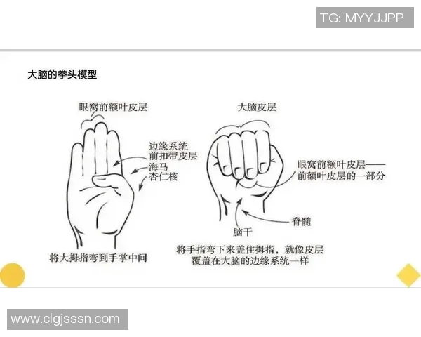 跳水运动的魅力与挑战：技术技巧、心理素质与训练方法的全面解析